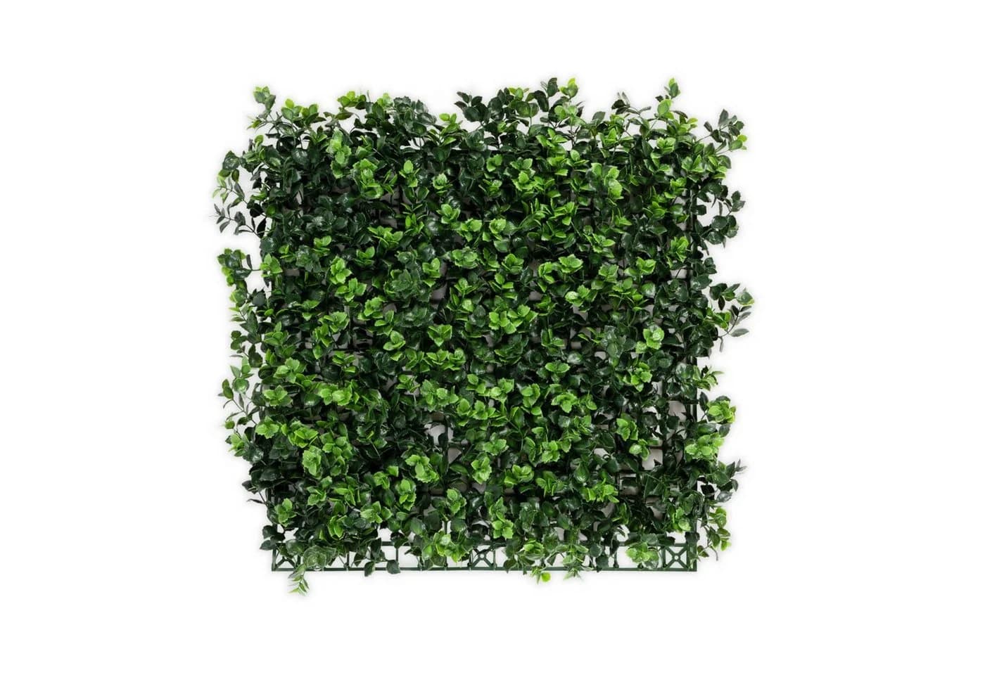 Karat Kunstpflanze Pflanzenwand Pachysandra Grün UV-beständig - Bild 2