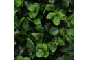 Karat Kunstpflanze Pflanzenwand Pachysandra Grün UV-beständig Bild 5