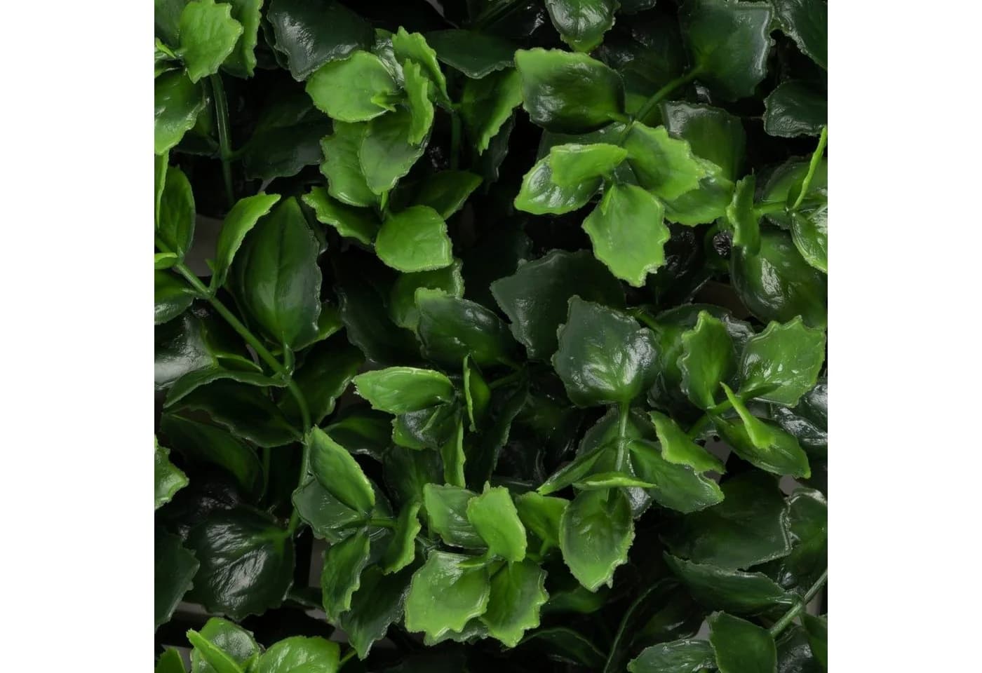 Karat Kunstpflanze Pflanzenwand Pachysandra Grün UV-beständig - Bild 5