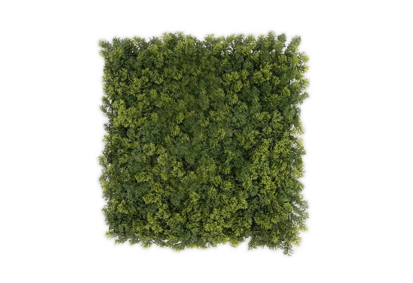 Kunstpflanze Pflanzenwand Houttuynia-Cordata Karat UV-beständig Grün - Bild 2