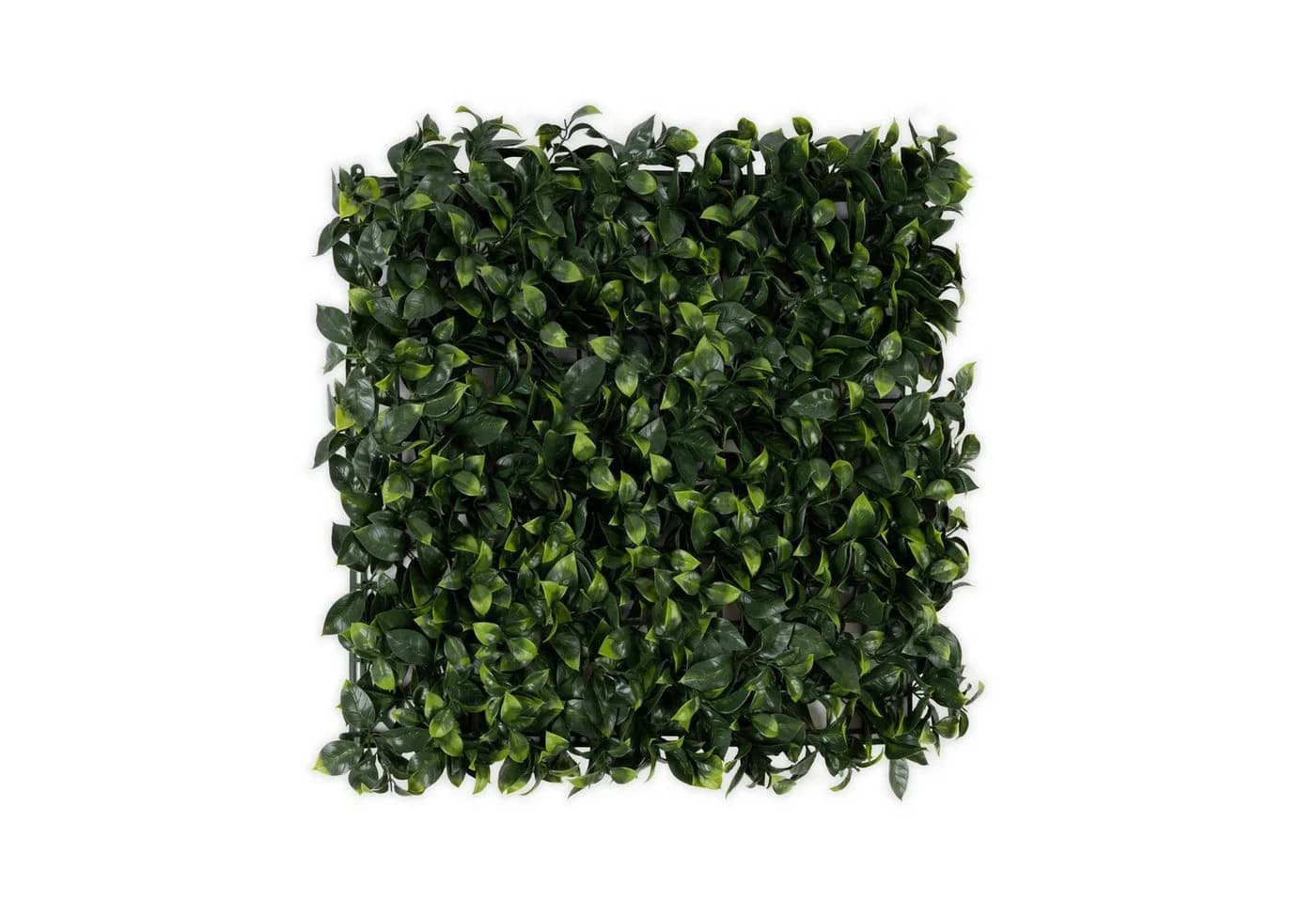 Karat Kunstpflanze Pflanzenwand Gardenia Grün - Bild 2