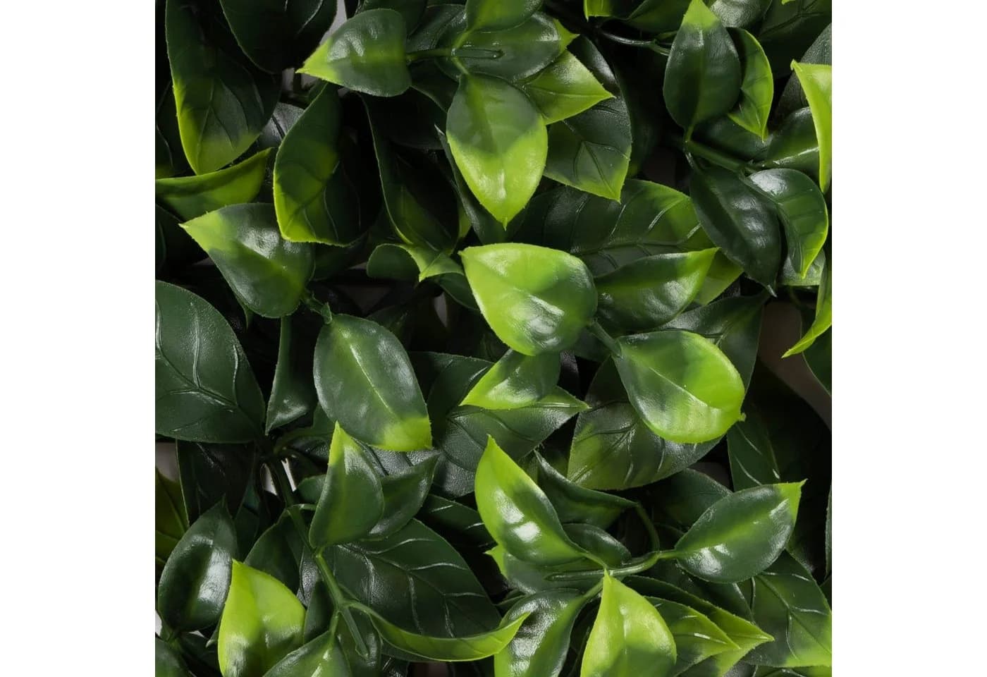 Karat Kunstpflanze Pflanzenwand Gardenia Grün - Bild 5