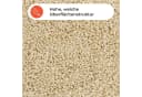 Karat Bettvorleger Barcelona Shaggy Beige Polypropylen Bild 4