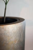 VIVANNO Pflanzkübel CITY Rund Quarzgrau Seidenmatt Fiberglas Bild 5