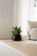 VIVANNO Blumentopf GORDO Rund Schwarz Matt Fiberglas Bild 3