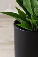 VIVANNO Blumentopf Aluminium NEW RONDO Tiefschwarz Matt Bild 4
