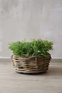 VIVANNO Pflanzkorb BOJO Rund Natur Rattan Bild 3