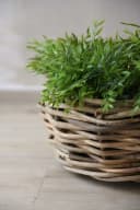 VIVANNO Pflanzkorb BOJO Rund Natur Rattan Bild 4