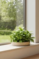 VIVANNO Pflanzschale Fiberglas Arbanebeige Matt Mit Muster Bild 3