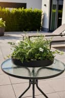 VIVANNO Pflanzschale Fiberglas Anthrazit Matt 30x5 cm Bild 1