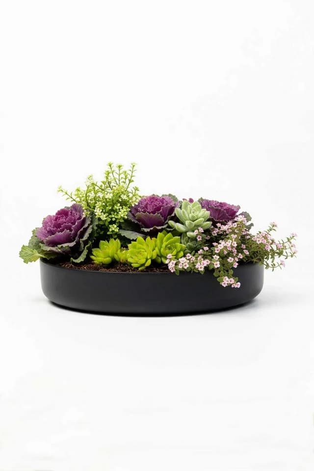 VIVANNO Pflanzschale Fiberglas Anthrazit Matt 30x5 cm - Bild 4