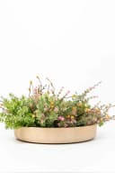 VIVANNO Pflanzschale Fiberglas 30x5 cm Creme Matt Mit Muster Bild 5