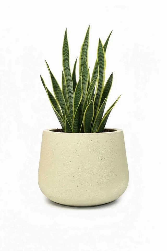 VIVANNO Blumentopf Fiberglas GIRAR Rund Vesuvbeige Matt - Bild 5