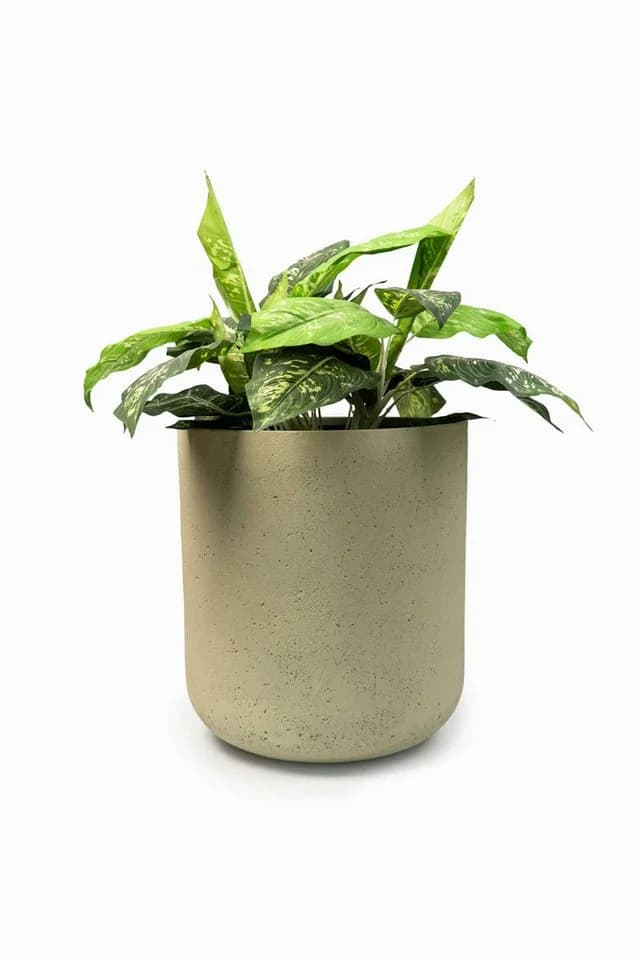 VIVANNO Blumentopf CHICO Rund Vesuvbeige Matt Fiberglas - Bild 5