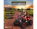 Actionbikes Motors Elektro-Kinderquad S10 1000W Grün Bild 1