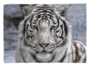 Sinus Art Handtuch mit Tiermotiv Weißer Tiger Baumwolle-Polyester-Mix Bild 2