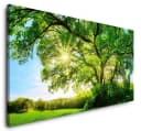 Sinus Art Leinwandbild Fine Art Print Bild 1