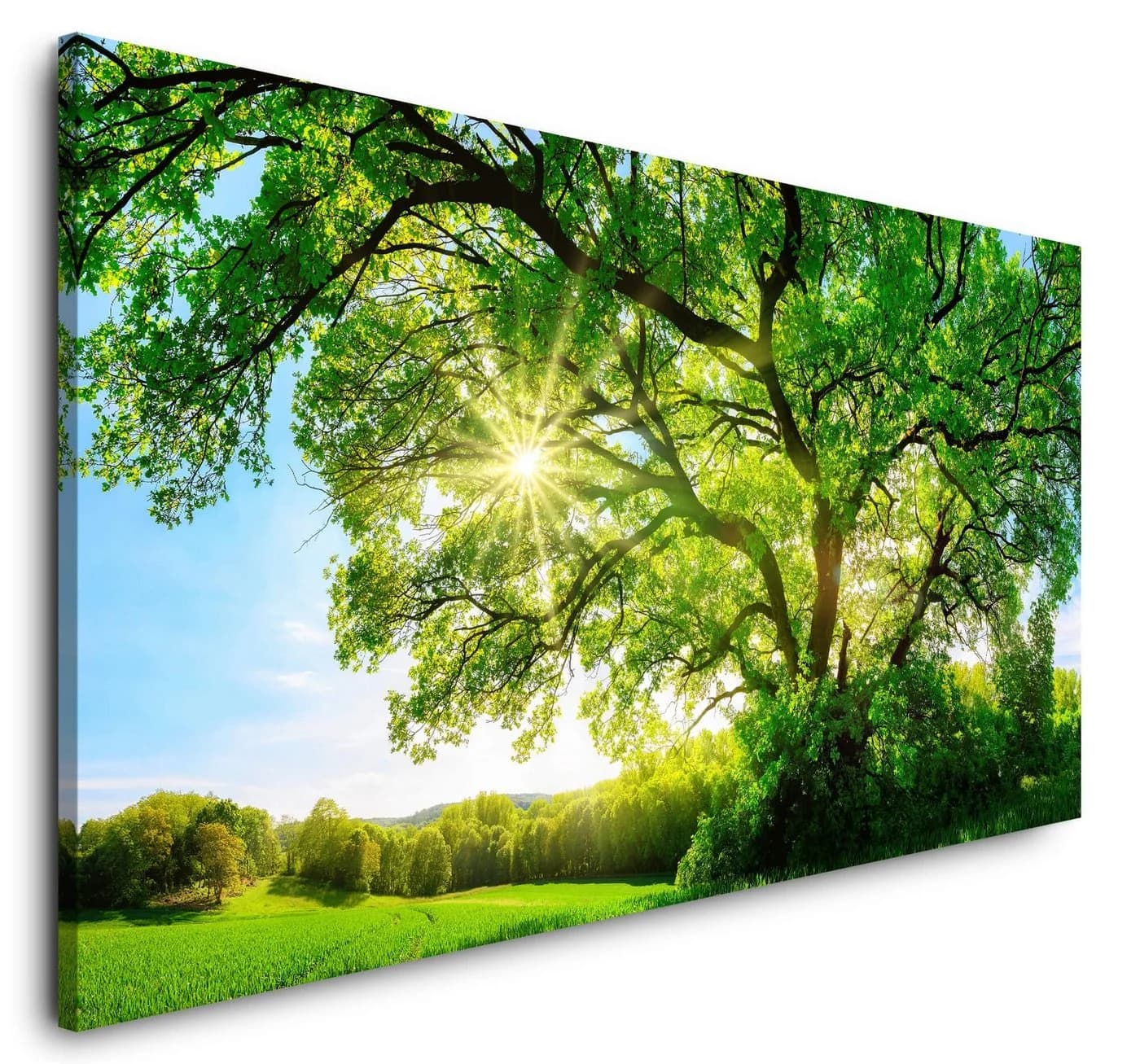 Sinus Art Leinwandbild Fine Art Print