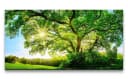 Sinus Art Leinwandbild Fine Art Print Bild 2