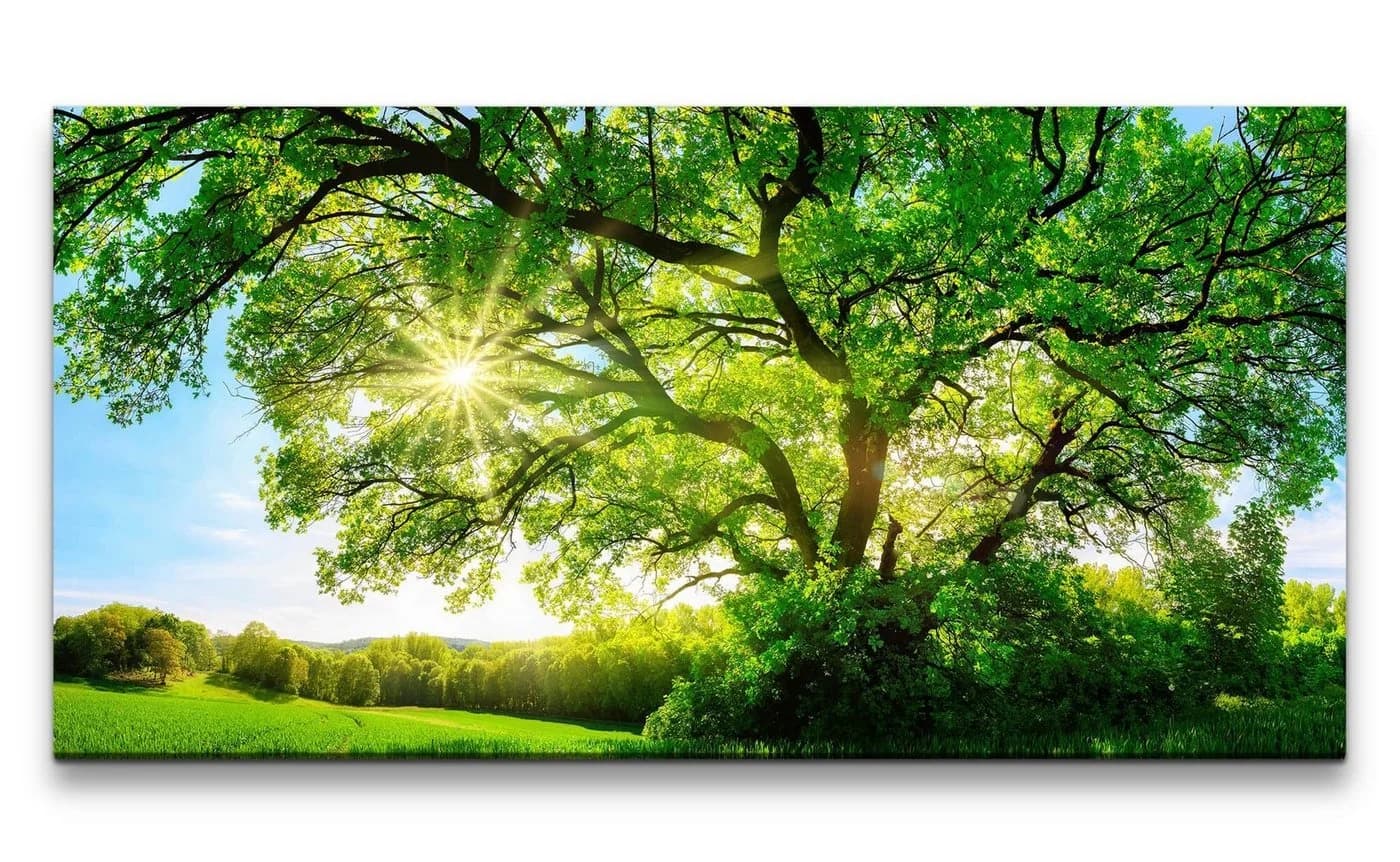Sinus Art Leinwandbild Fine Art Print - Bild 2