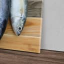 Sinus Art Leinwandbild Fisch Exotisch Modern Bunt Bild 1