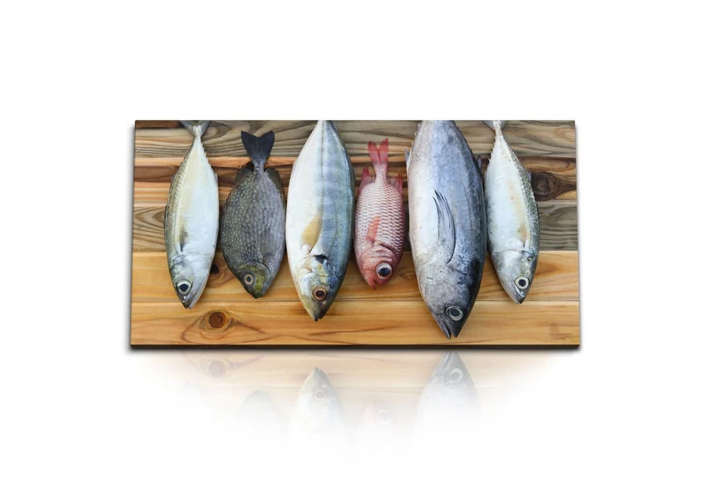 Sinus Art Leinwandbild Fisch Exotisch Modern Bunt - Bild 2