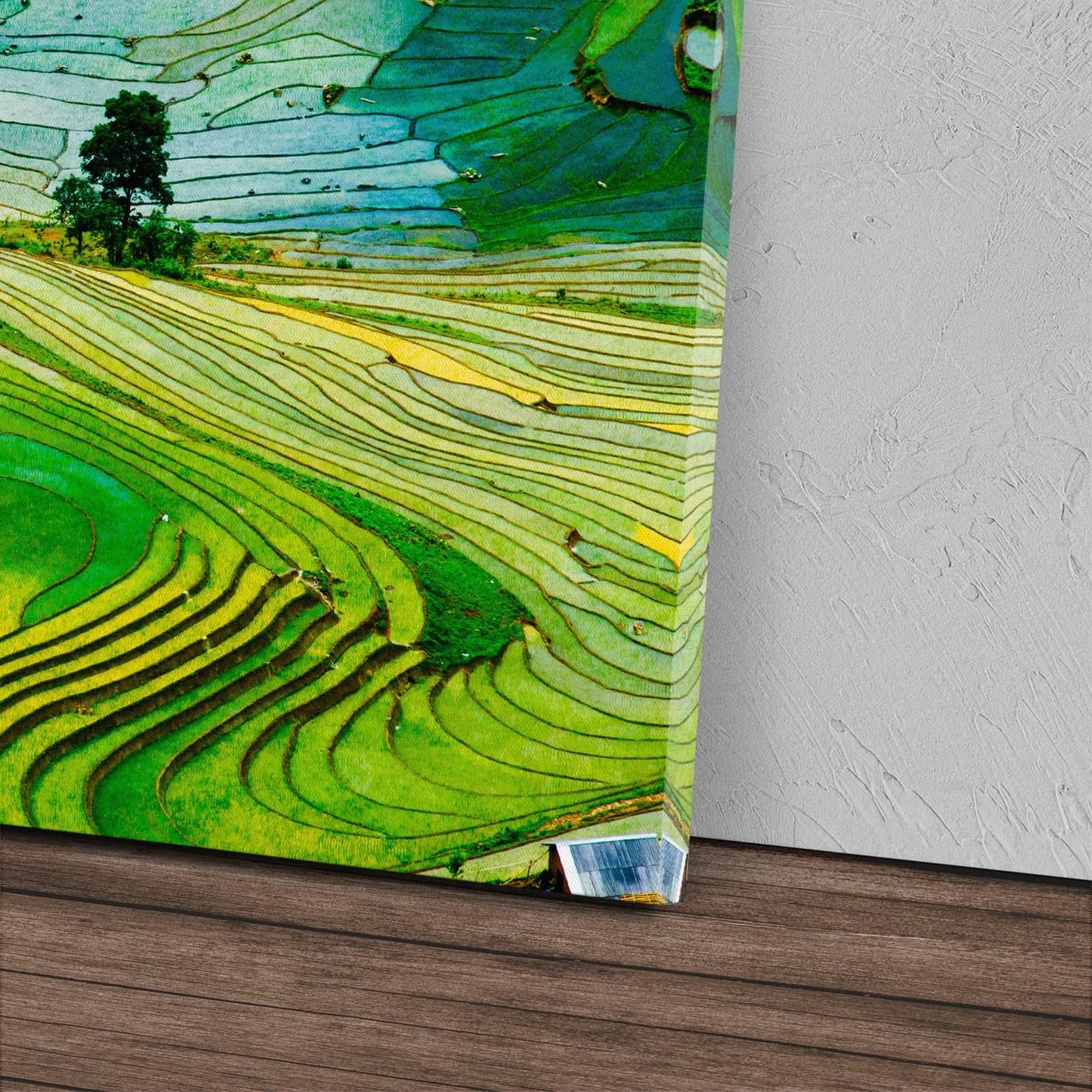 Sinus Art Leinwandbild Reisfelder Vietnam Grün Natur