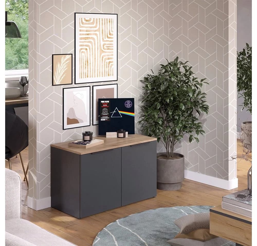Vicco Kommode Wido Anthrazit Sonoma 2 Türen Modern - Bild 5