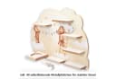Kreative Feder Wandregal Musikbox-Regal Beige/Braun mit Magnetplättchen Bild 1