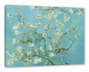 Pixxprint Leinwandbild Vincent Van Gogh Mandelbaumzweige Bunt Bild 2