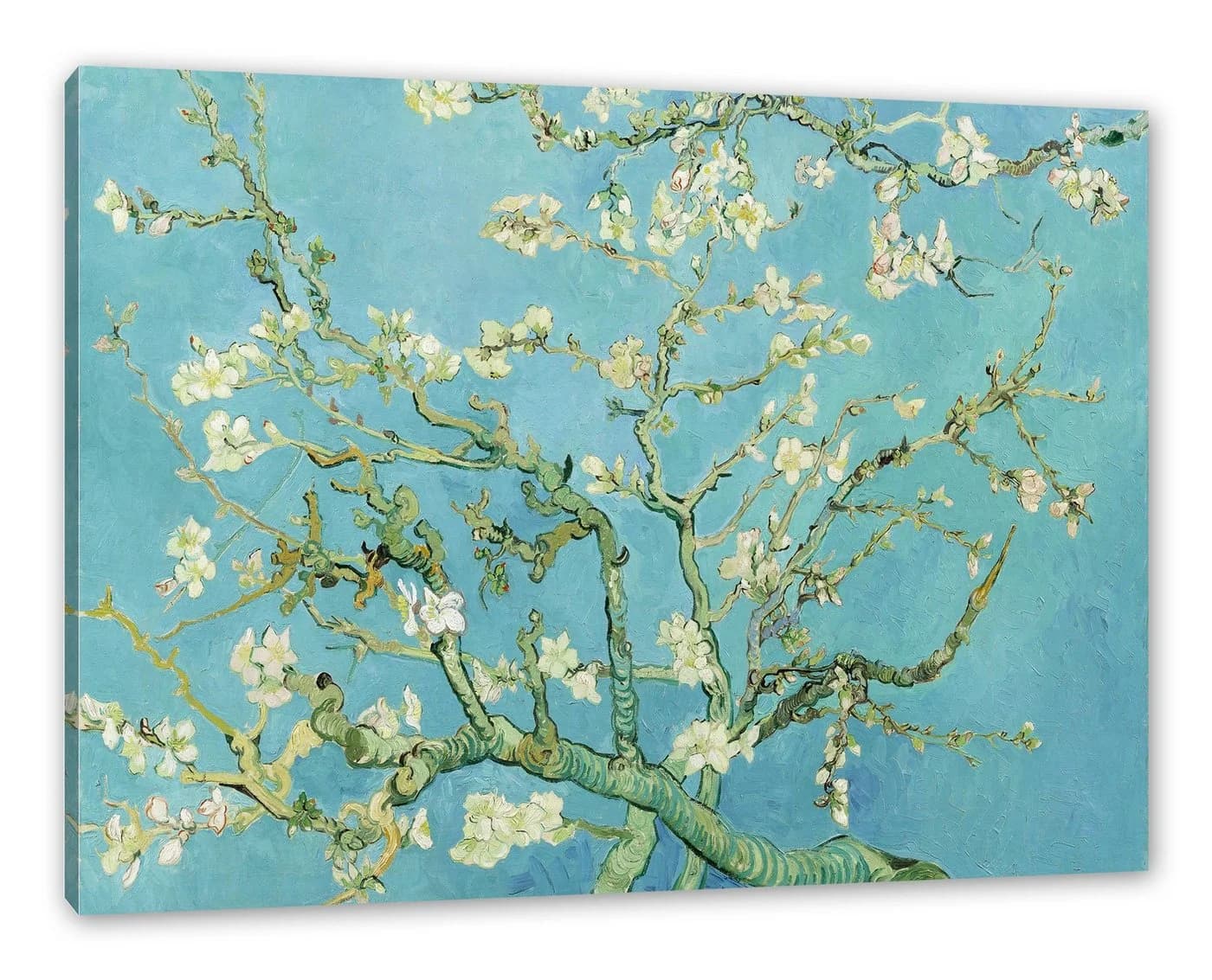Pixxprint Leinwandbild Vincent Van Gogh Mandelbaumzweige Bunt - Bild 2