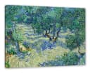 Pixxprint Leinwandbild Vincent Van Gogh Oliven-Feld Bild 2