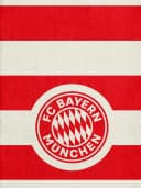 FC Bayern München Badetuch Rot/Weiß Baumwolle Bild 1