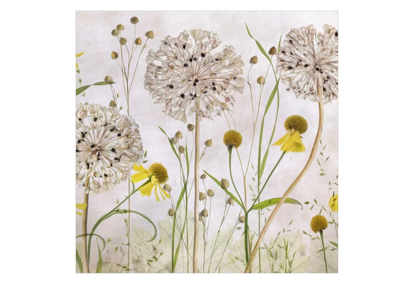 Bilderdepot24 Vliestapete Vintage Allium Helenium Blumen Beige