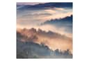 Bilderdepot24 Fototapete Wald Nebel Sonnenuntergang Vliestapete Matt Beige Bild 1