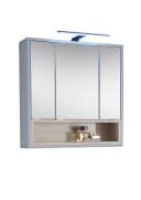 PREISBRECHER Badezimmerspiegelschrank Tunis LED grau matt Bild 2