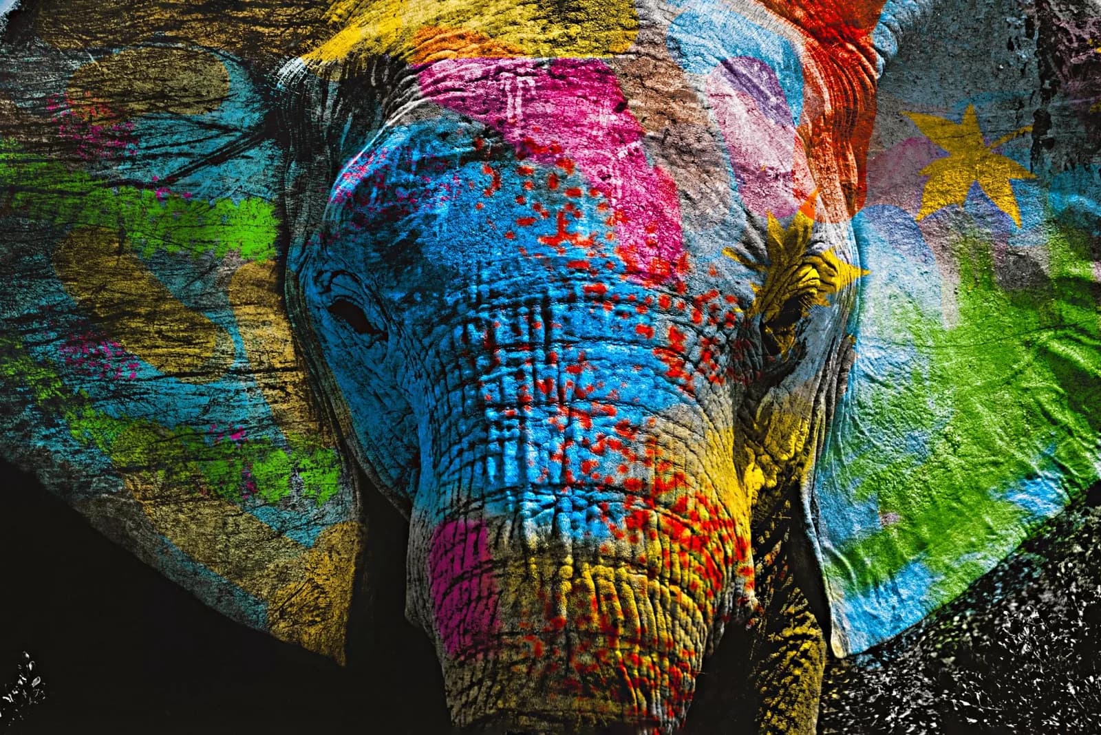 Leinwandbild Pop-Art Elefant Bunt auf Keilrahmen