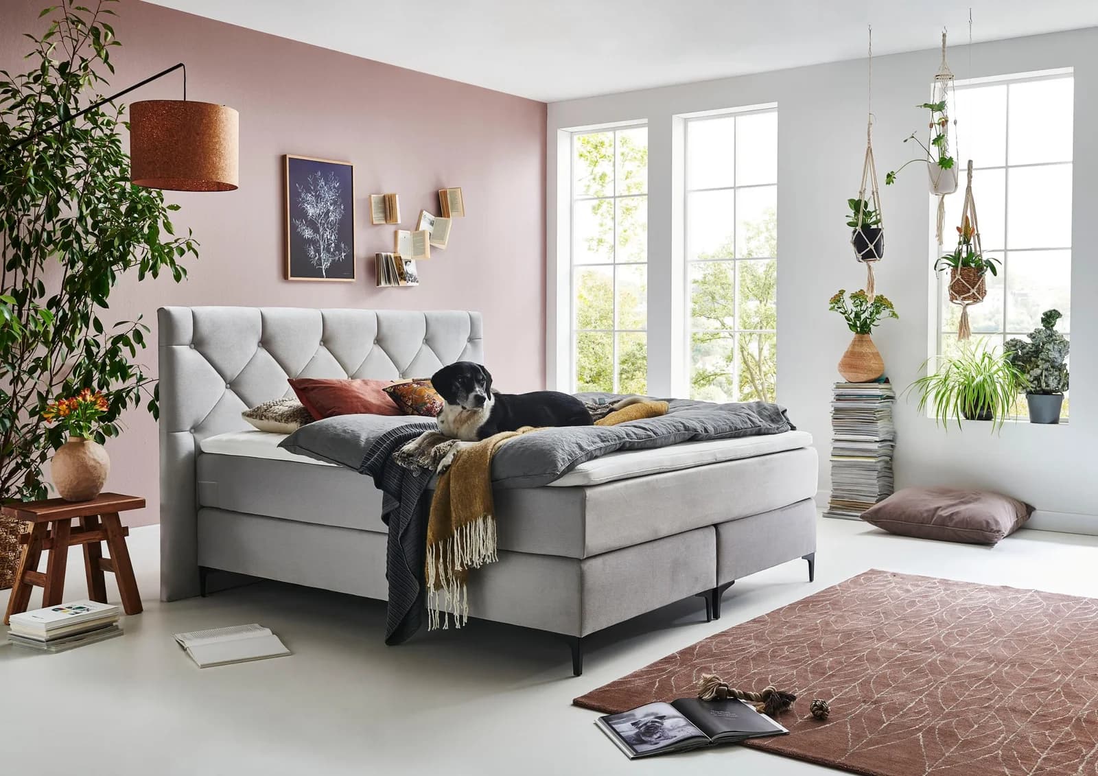 HOME AFFAIRE Boxspringbett Aiko Grau mit Tonnentaschen-Federkern