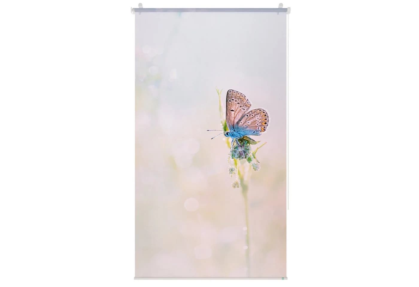 Roomy Rollo Blue Butterfly Klemmbar & Anschraubbar - Bild 2