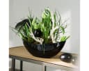 Viana Pflanzschiffchen Dekoschale Schwarz Kunststoff Oval Bild 1