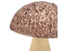 Florists Products Holzpilze Streudeko Herbstdeko Natur Braun 8er Set Bild 3