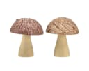 Florists Products Holzpilze Streudeko Herbstdeko Natur Braun 8er Set Bild 4