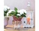 Viana Übertopf Keramik Blumentopf Rosa mit Blütenmuster Eleganz Bild 4