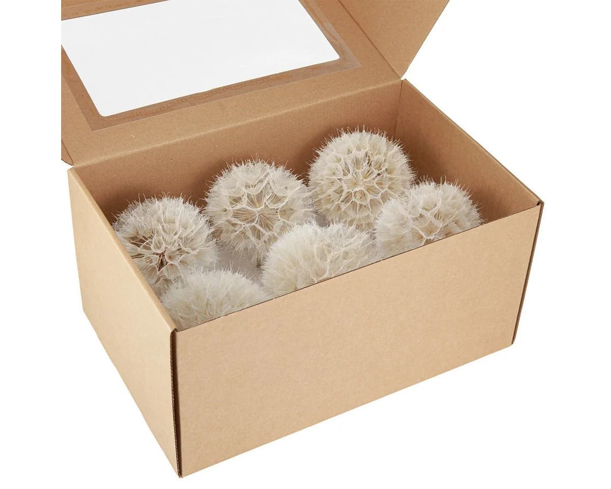 Trockenblume Deko-Pusteblume Weiß Ø11cm 6er Set - Bild 4