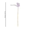 Florists Products Craspedia Trockenblumen Lila 55 cm Bild 3