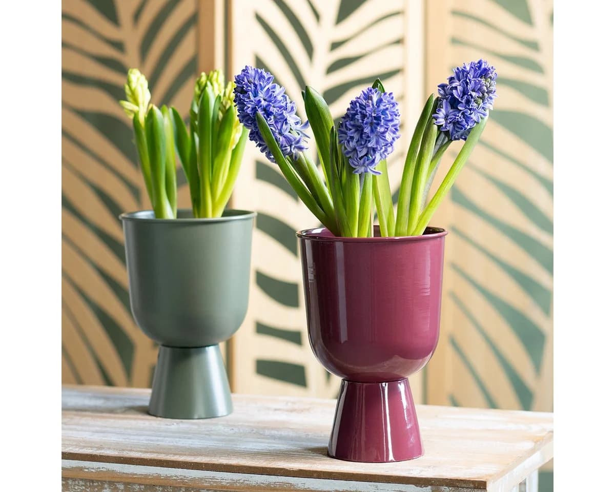 Florists Products Dekoschale Pokalform Rot Metall Modern