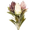 Florists Products Protea Leucadendron Kunstblume 3er Set Bunt 65 cm Bild 2