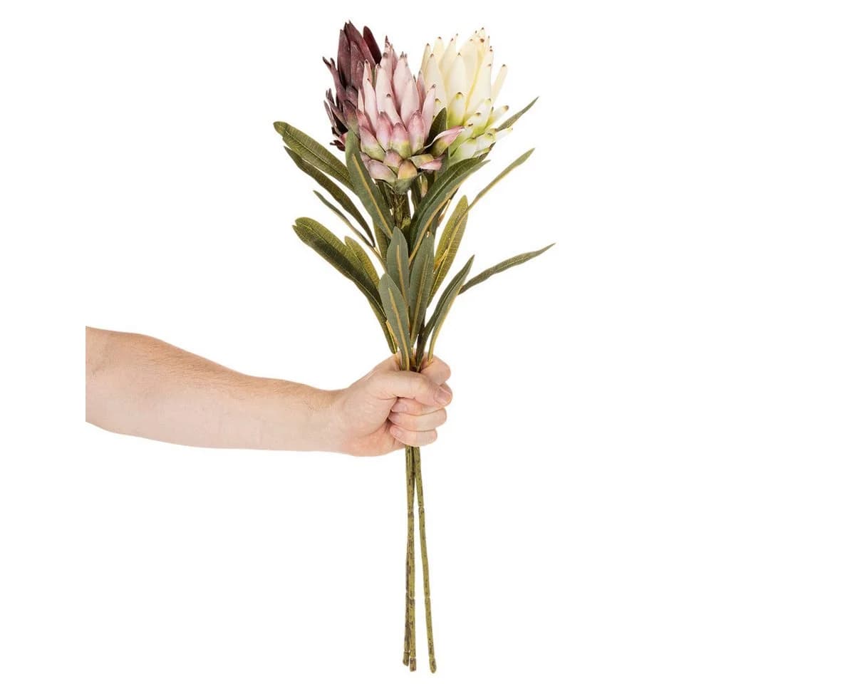 Florists Products Protea Leucadendron Kunstblume 3er Set Bunt 65 cm - Bild 3