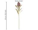 Florists Products Protea Leucadendron Kunstblume 3er Set Bunt 65 cm Bild 4