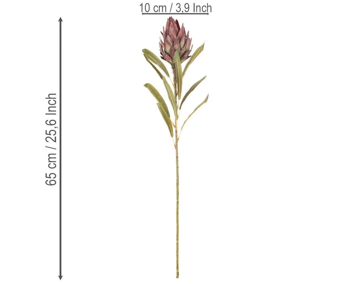 Florists Products Protea Leucadendron Kunstblume 3er Set Bunt 65 cm - Bild 4